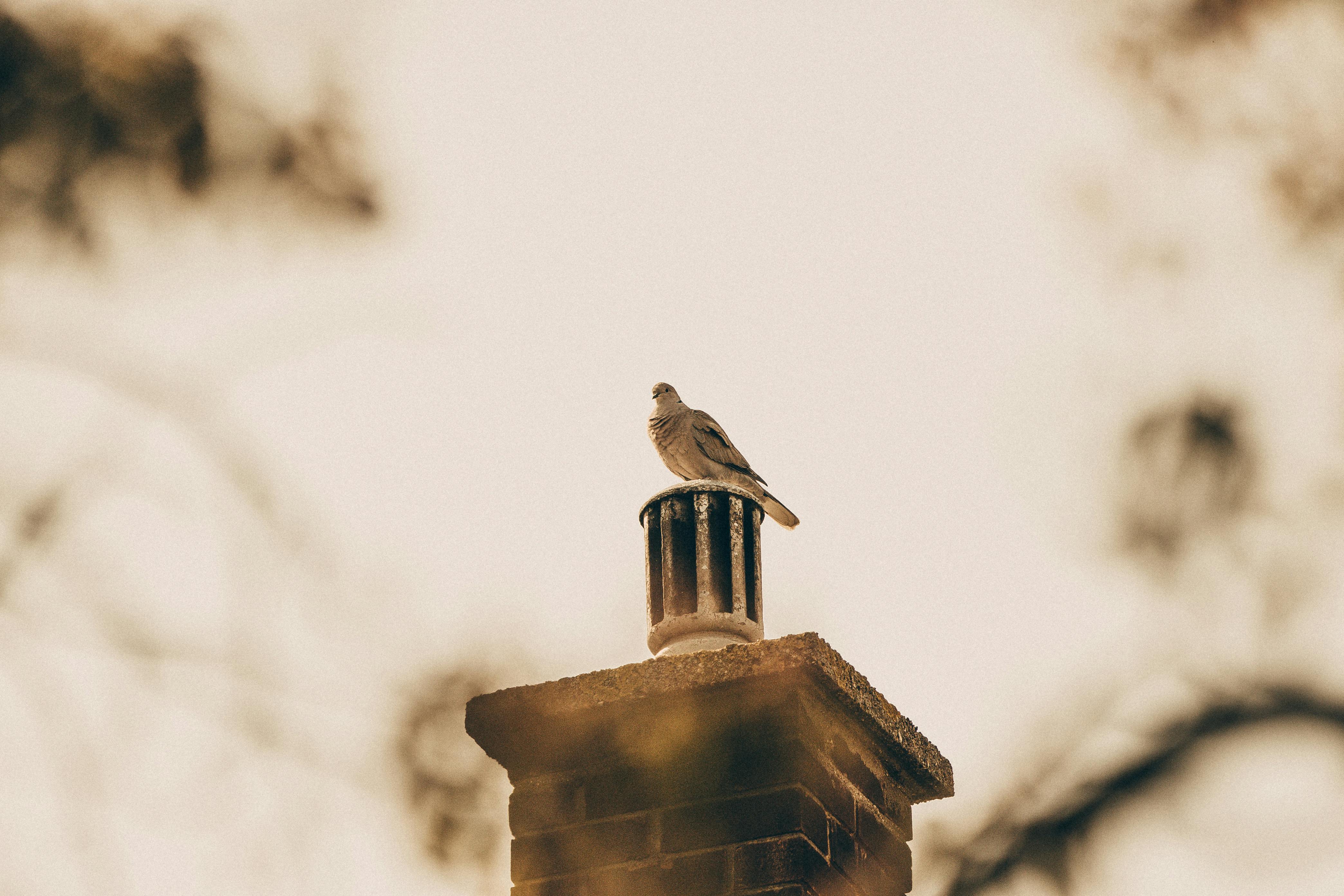 Professional Chimney Cap and Damper In Chatsworth California